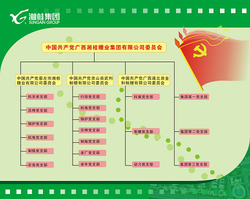 竞技宝竞猜集团党委构架图