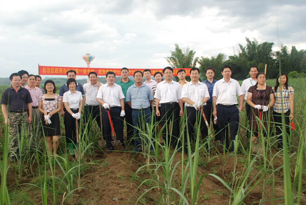 自治区政府办公厅第一秘书处处长唐宁（右八）、自治区政务服务中心管理办公室管理处处长钟穗（右六）一行在竞技宝竞猜公司甘蔗基地参加田间劳动